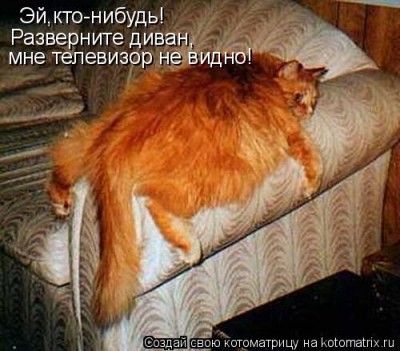 image009.jpg