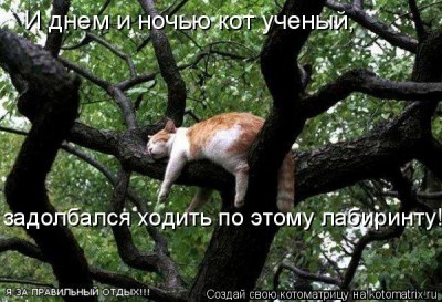 image024.jpg