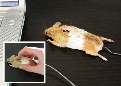 Mouse-Mouse.jpg