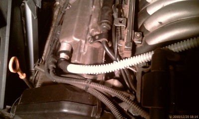 IMAG0670.jpg