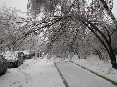 Изображение 009.jpg