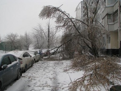 Изображение 017.jpg