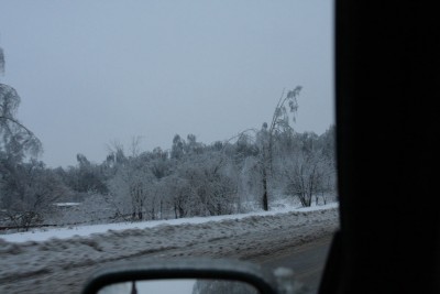 IMG_7447.JPG