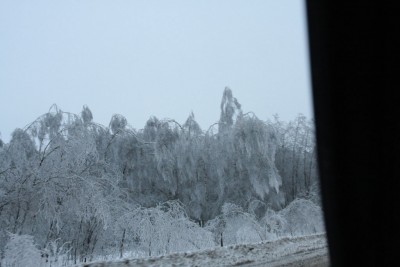 IMG_7450.JPG