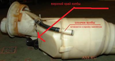 сосочек.jpg