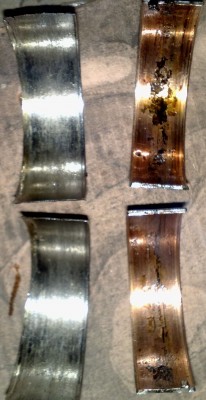 Первый которые белые второй более желтые