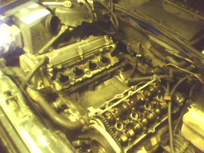 IMG0138A.jpg