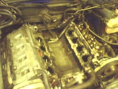 IMG0139A.jpg