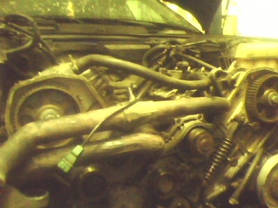 IMG0142A.jpg