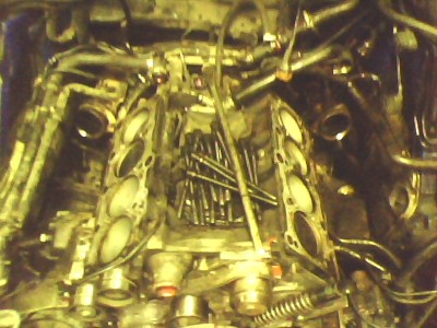 IMG0144A.jpg