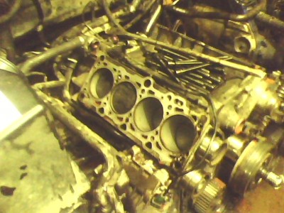 IMG0145A.jpg