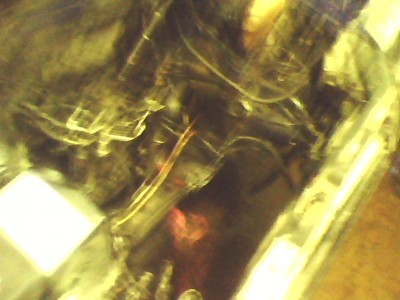 IMG0149A.jpg