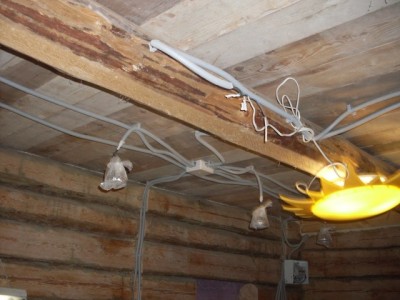 SDC10161.JPG
