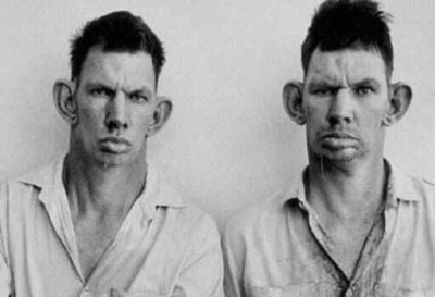 hillbillies.jpg