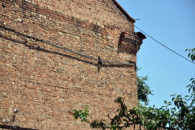 206.jpg