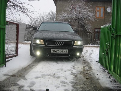 Авося.jpg