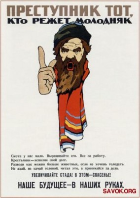 1263922704_1697.jpg