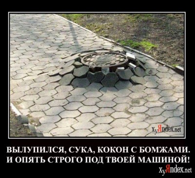 1265323243_1236702465.jpg