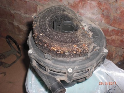 CIMG6410.JPG