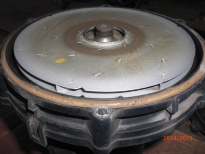 CIMG6415.JPG