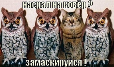 x_31ba1352.jpg