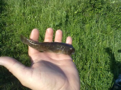 12062010110.jpg