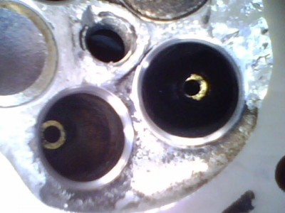 IMG0193A.jpg