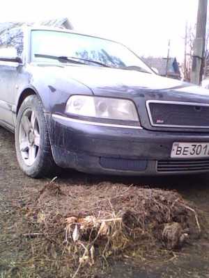 тонкими саморезами прикрепил. вот что получилось.