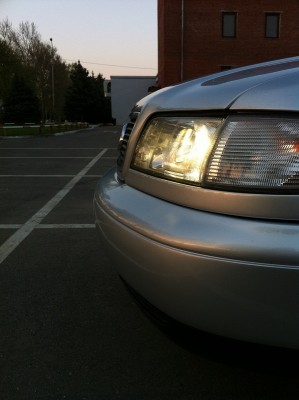IMG_1565mini.jpg