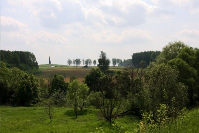 IMG_0095.jpg