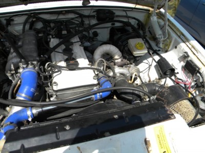 DSCN3335.JPG