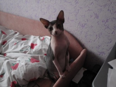 Копия DSC01288.JPG