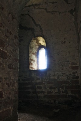 IMG_2991.jpg