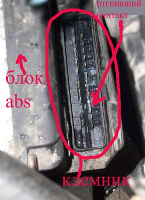 abs copy.jpg