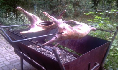 IMAG0203.jpg
