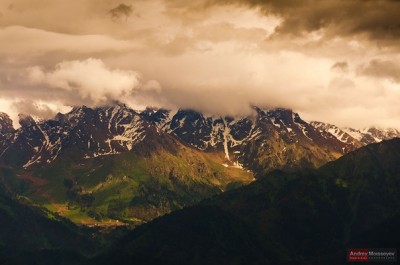x_546f01f7.jpg