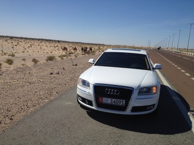 Audi 7.jpg