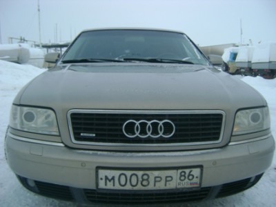 DSC01549.jpg