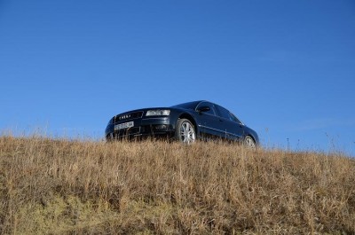 D7S_4170.JPG