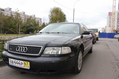 y_6f2003b0.jpg