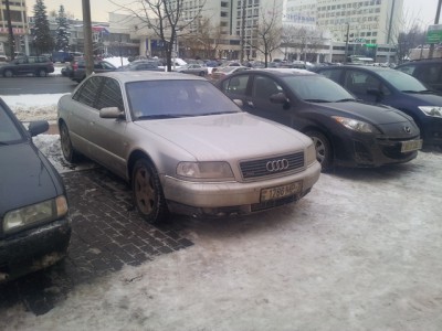 Вот моя красавица !