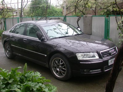 абхазия2012новый год