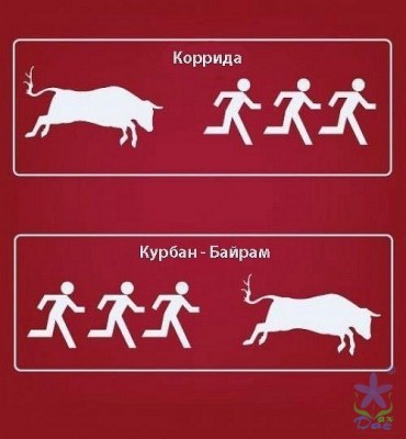 shaxdag_227_284773.jpg
