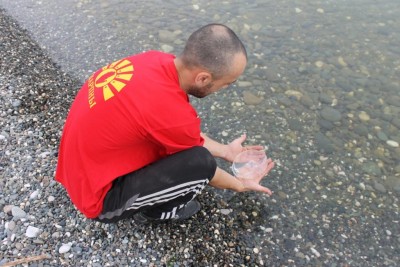 решил отпустить