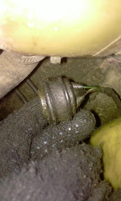 IMAG0762.jpg
