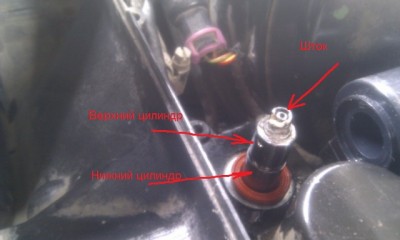 IMAG0572.jpg