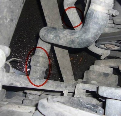 Resize of Resize of P1050308.jpg