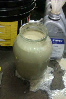 IMAG0132t.jpg