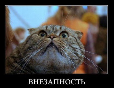 x_0b24d982.jpg