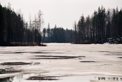 Лесное озеро